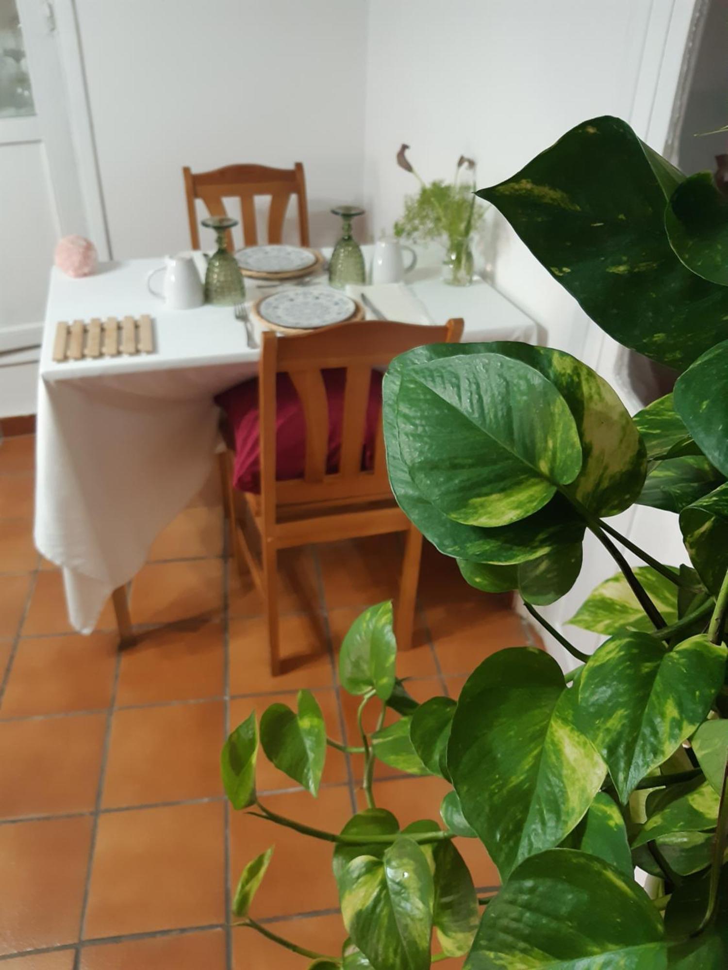 Apartament Musas Gastro Casa Rural Valdealgorfa Zewnętrze zdjęcie